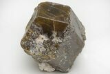Yellow, Andradite-Grossular Mali Garnet - Kayes Region, Mali #216815-1
